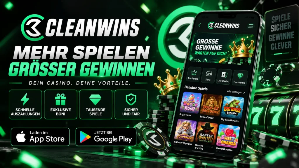 cleanwins anwendung